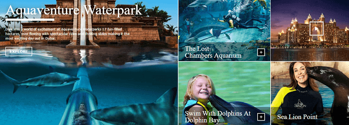 Nature adventures at Atlantis The Palm