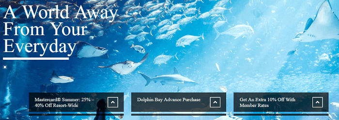 All the possibilities at Atlantis The Palm