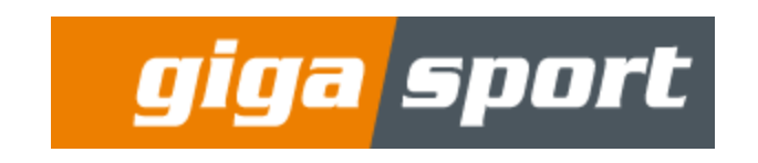 Das Logo von giga sport