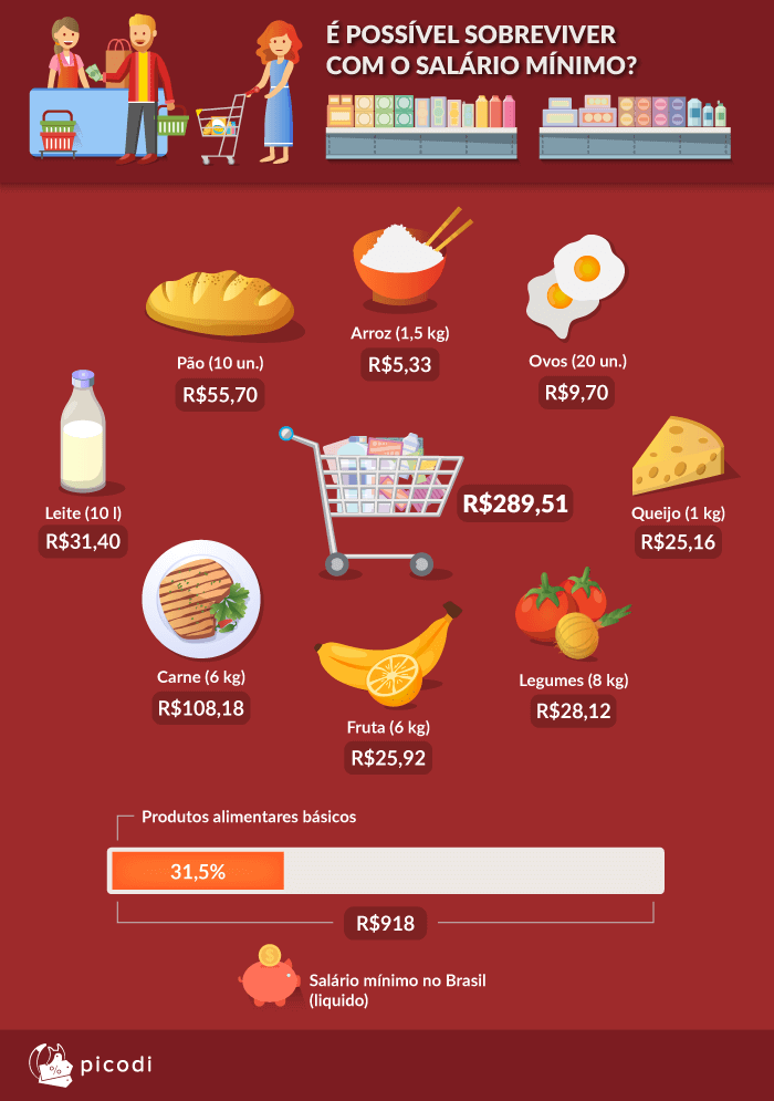 É POSSÍVEL SOBREVIVER COM O SALÁRIO MÍNIMO?