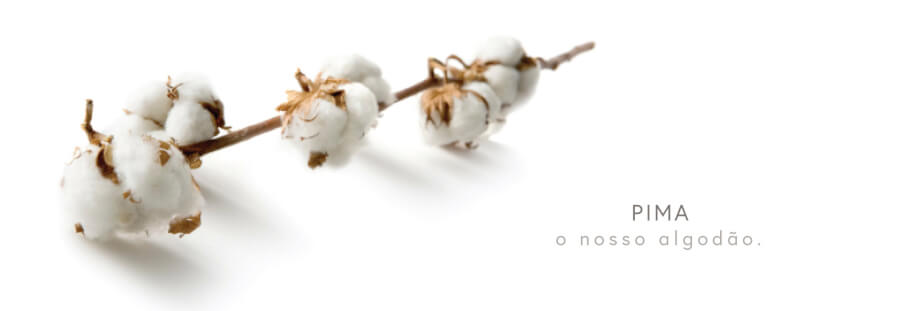 material utilizado Basico.com