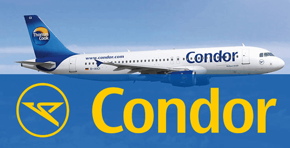 Logomarca Condor Logomarca Condor