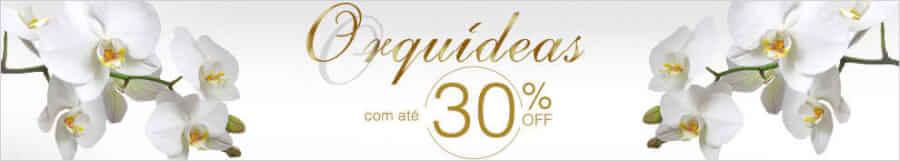 Imagem promocional Giuliana Flores – giulianaflores.com.br Promoção Giuliana Flores