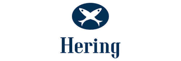 logomarca Hering logomarca Hering