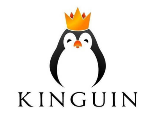 Kinguin Cupom