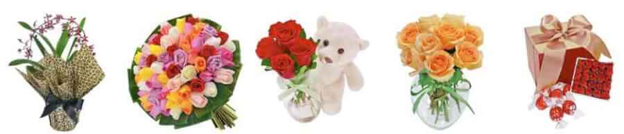 Produtos NovaFlor Produtos NovaFlor