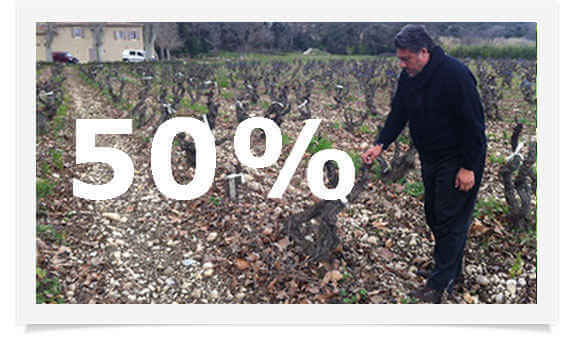 Cupom de desconto Wine nas melhores safras Cupom de desconto Wine nas melhores safras