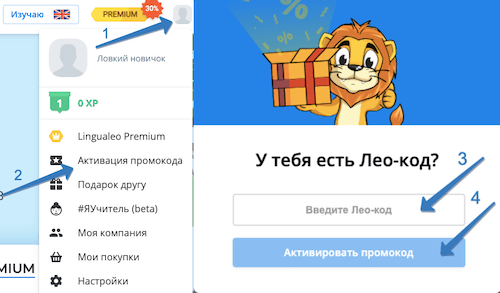 лингвалео где ввести промокод