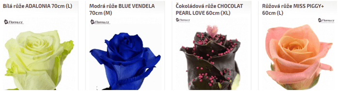 Holandské růže levně!