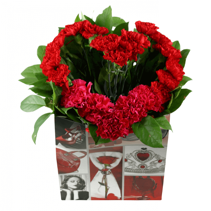 Srdce z karafiátů na Kvetinyexpres.cz