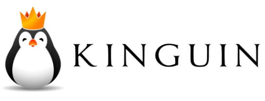 Das Logo von Kinguin
