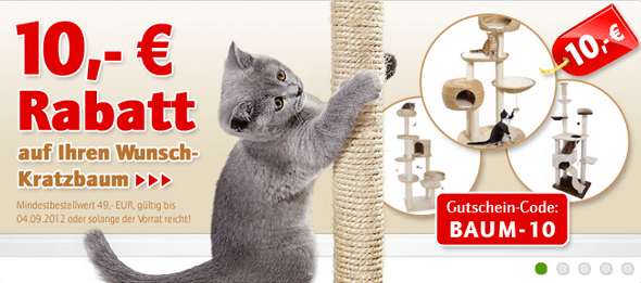 Ein zooplus Schnäppchen für die Katze