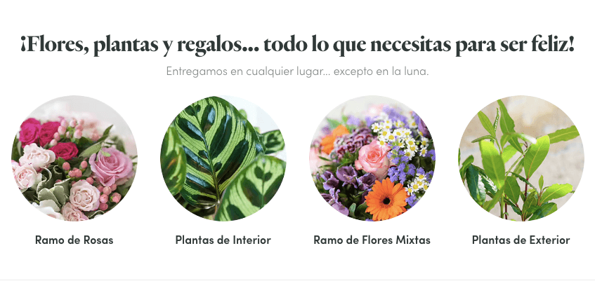 Las categorías de productos vendidos en Interflora