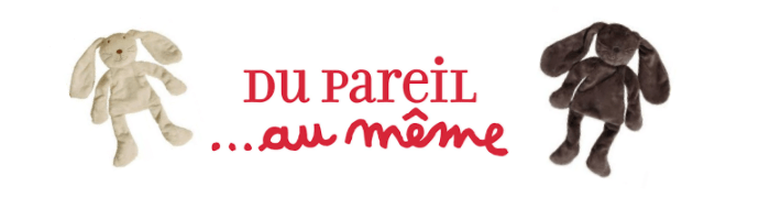 logo Dpam