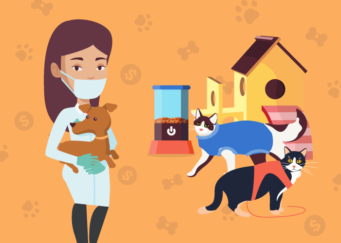 How much does having a pet cost?