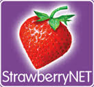 logotipo strawberrynet