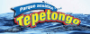 cupón de descuento cupon