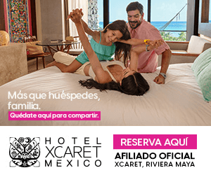 Disfruta de tus viajes