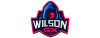 Galerias Wilson