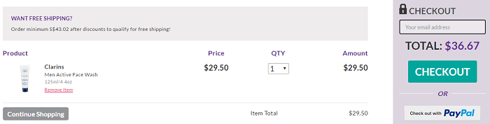 Shopping bag StrawberryNet checkout