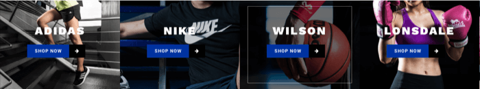 Brands available at Toby's Sports