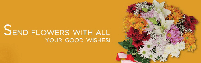 PK TCS Sentiments Express flowers PK TCS Sentiments Express flowers