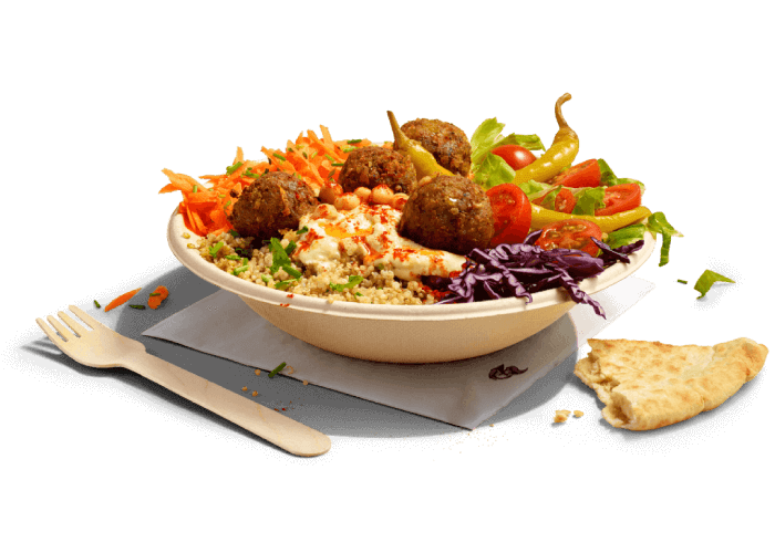 s foodpanda 33