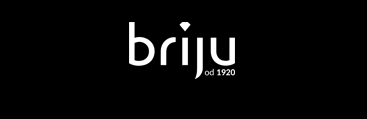 Logo briju