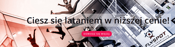 flyspot - oferta niższej ceny