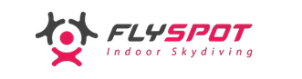 Logo flyspot