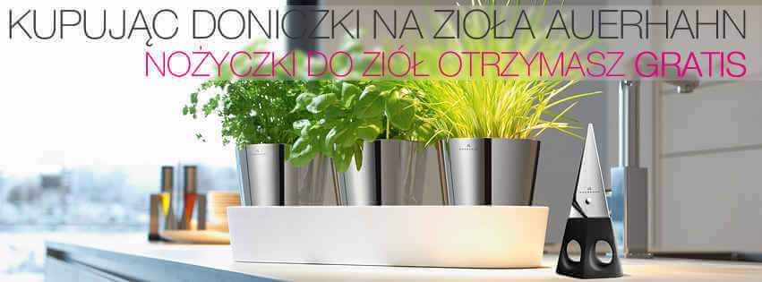 Oferta promocyjna w sklepie Galeria Limonka