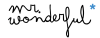 Mr Wonderful