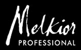 Logo Melkior logo