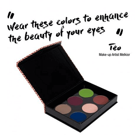 Paletă farduri paletă farduri