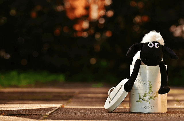 cele mai frumoase jucarii noriel-jucarie-de-plus