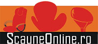 Logo ScauneOnline.ro logo