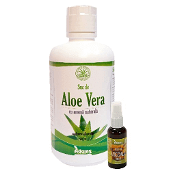 Suc de aloe vera sticlă cu suc