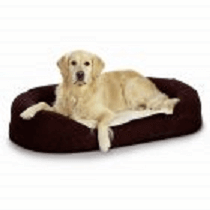 Pat pentru câini cățel în pat