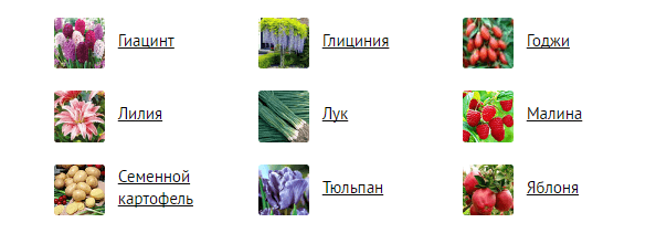 Каталог растений в магазине Беккер Каталог растений в магазине Беккер