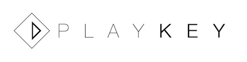 Логотип Playkey Логотип Playkey