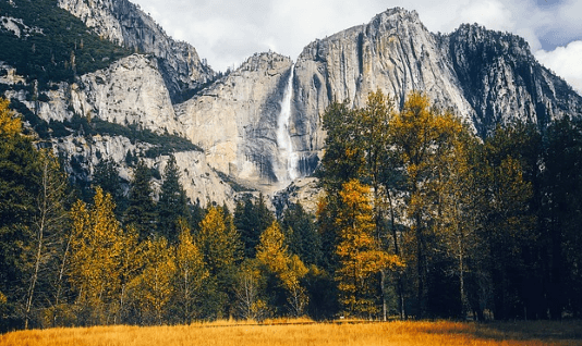 Отправляйтесь в путешествие с Тимберленд Верхняя одежда Тимберленд