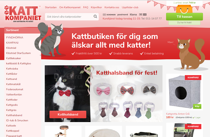 Allt din katt kan tänkas vilja ha