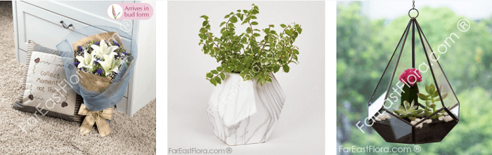 Far East Flora's horoscope gifts