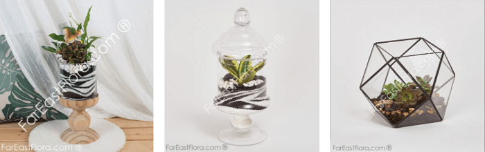 Far East Flora's plant arrangements