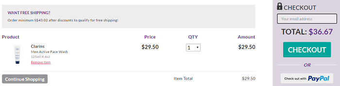 Shopping bag StrawberryNet checkout