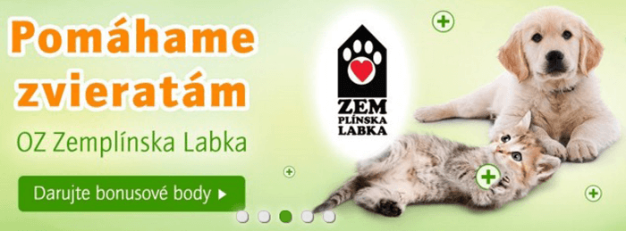 Zoohit pomáha i zvieratám, ktoré skončili na ulici a následne v útulkoch