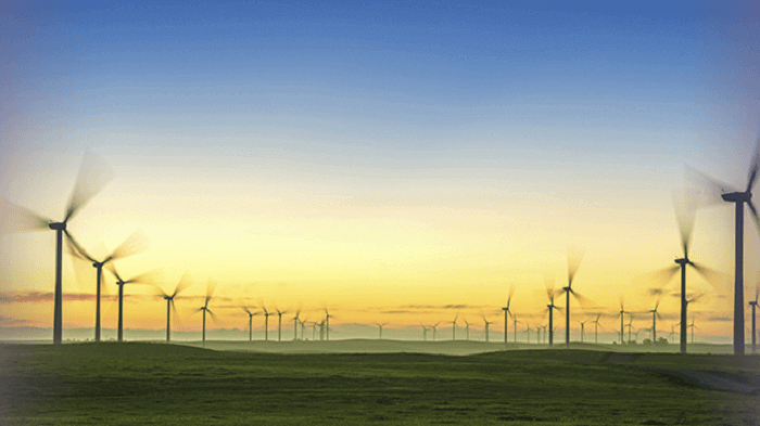 Amazon energy Amazon energy