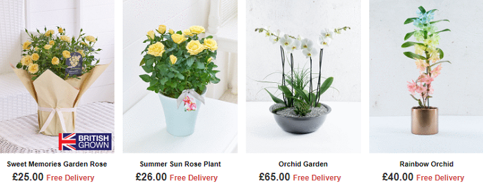 Plants and gifts are also available