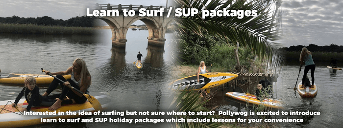 Pollywog promotional code March 2024 Picodi South Africa